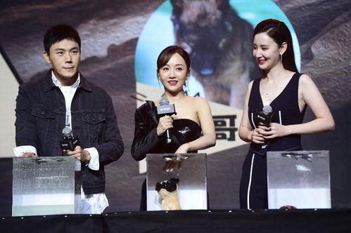 娱乐圈综艺吃瓜爆料